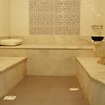 زياباسا بارك فندق