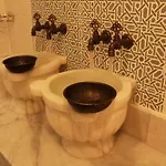زياباسا بارك فندق