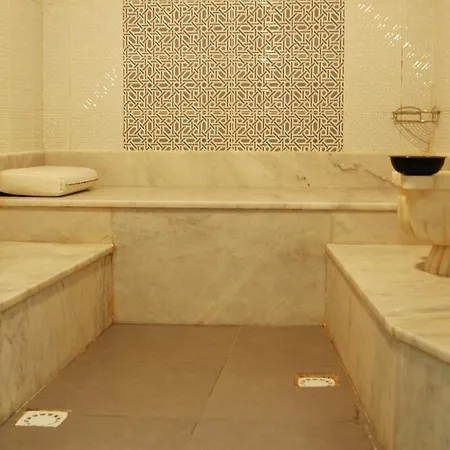 زياباسا بارك فندق