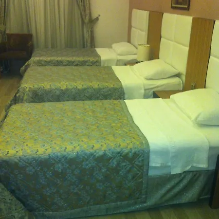 فندق زياباسا بارك 3*