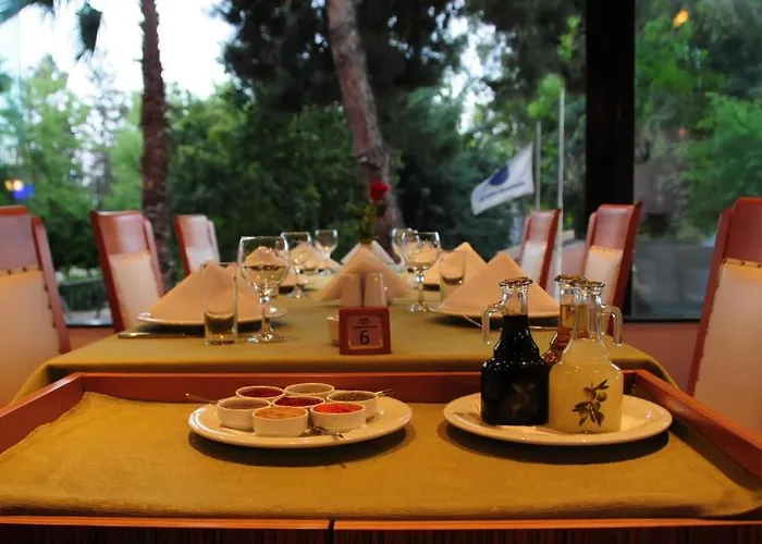 زياباسا بارك فندق 3*