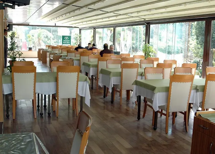 زياباسا بارك فندق 3*