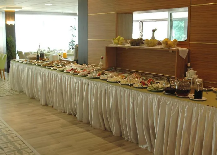 زياباسا بارك فندق