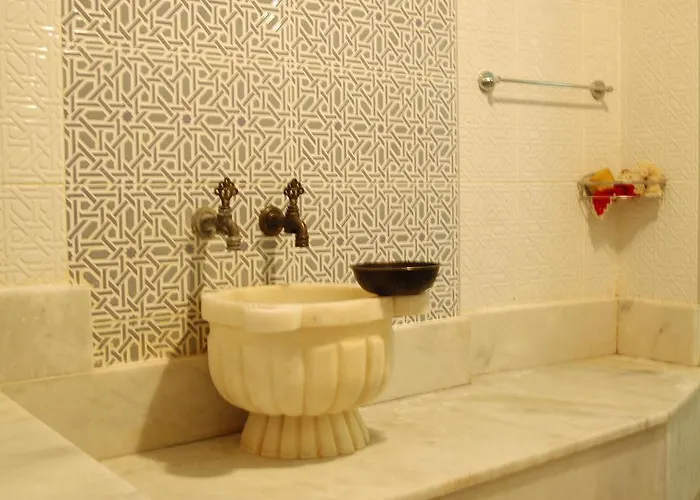 زياباسا بارك فندق أضنه