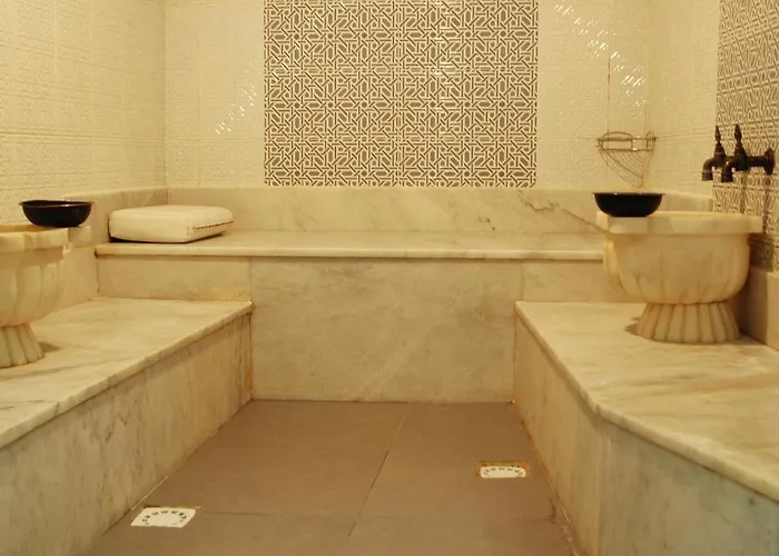 زياباسا بارك فندق