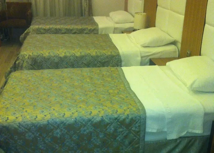 فندق زياباسا بارك 3*